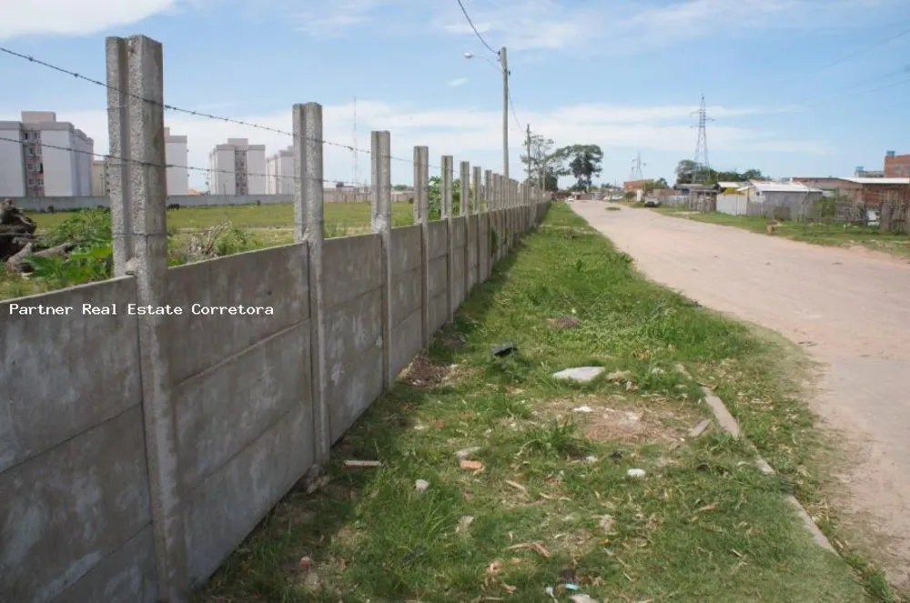 Terreno, 24630 m² - Foto 7
