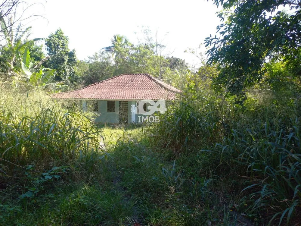 Chácara, 2 quartos, 3 hectares - Foto 11