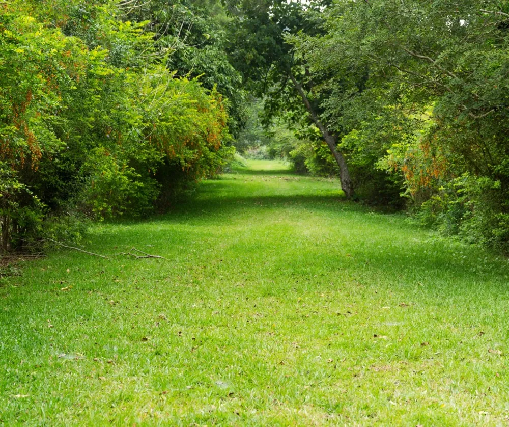 Terreno, 2500 m² - Foto 14