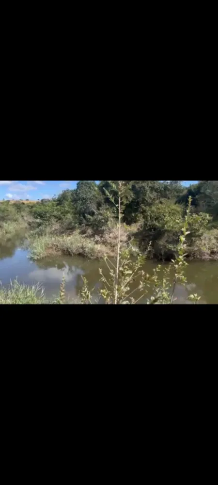Fazenda, 9 hectares - Foto 3