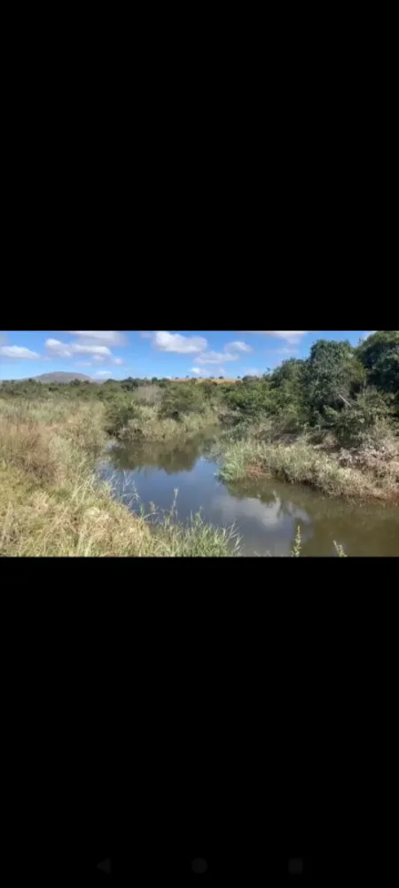 Fazenda, 9 hectares - Foto 5