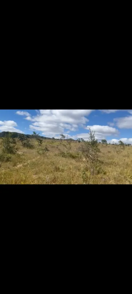 Fazenda, 9 hectares - Foto 11
