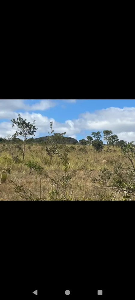 Fazenda, 9 hectares - Foto 12