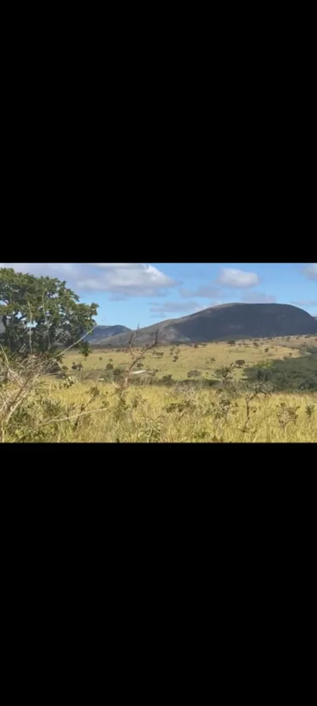 Fazenda, 9 hectares - Foto 15