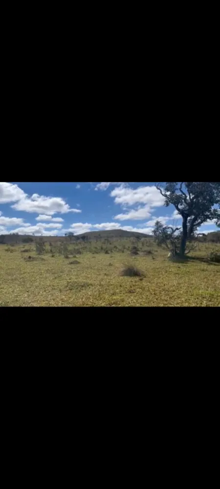 Fazenda, 9 hectares - Foto 7