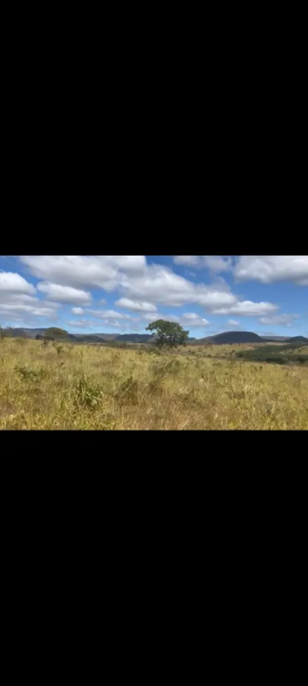 Fazenda, 9 hectares - Foto 11
