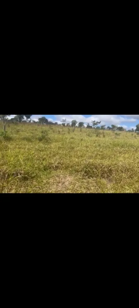 Fazenda, 9 hectares - Foto 7