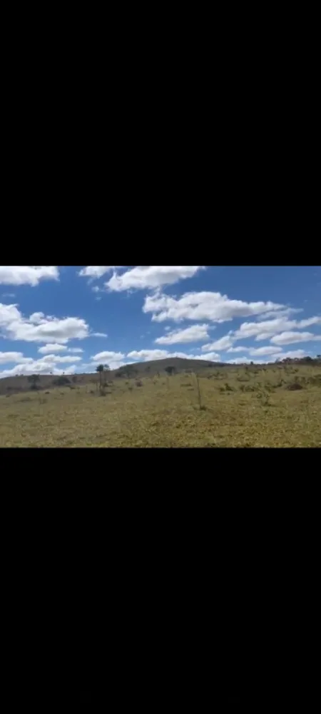 Fazenda, 9 hectares - Foto 13