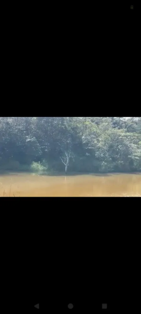 Fazenda, 9 hectares - Foto 6