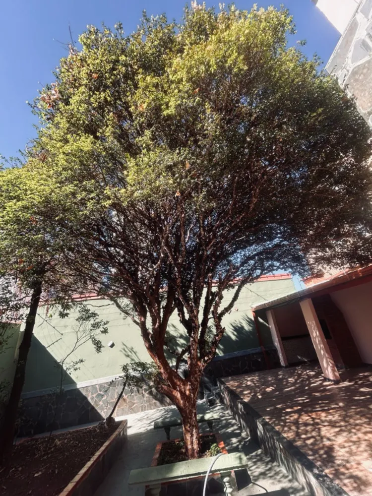 Casa, 4 quartos, 295 m² - Foto 14