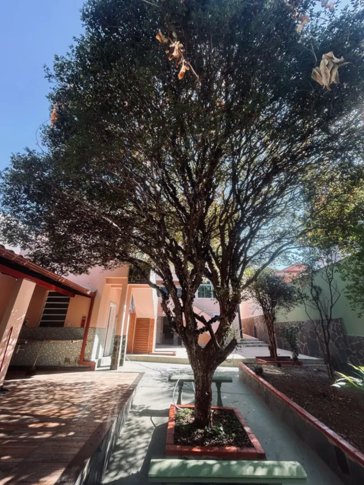 Casa, 4 quartos, 295 m² - Foto 13