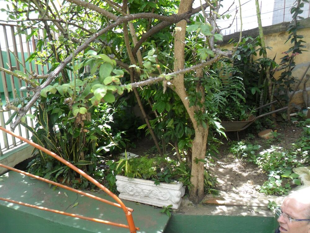 Casa à venda com 4 quartos, 313m² - Foto 15