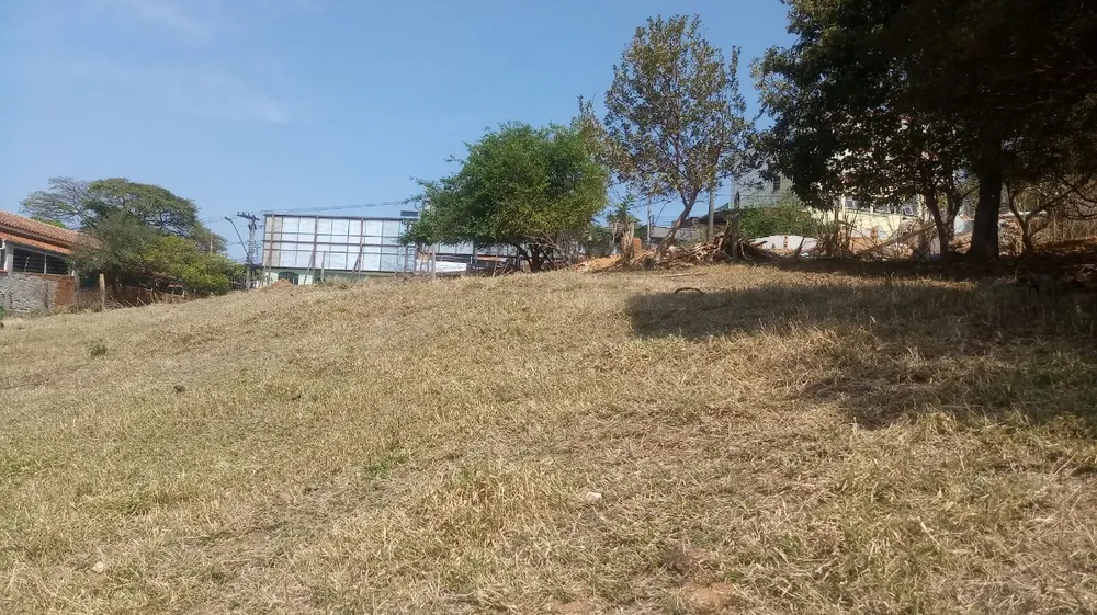 Terreno, 10800 m² - Foto 6