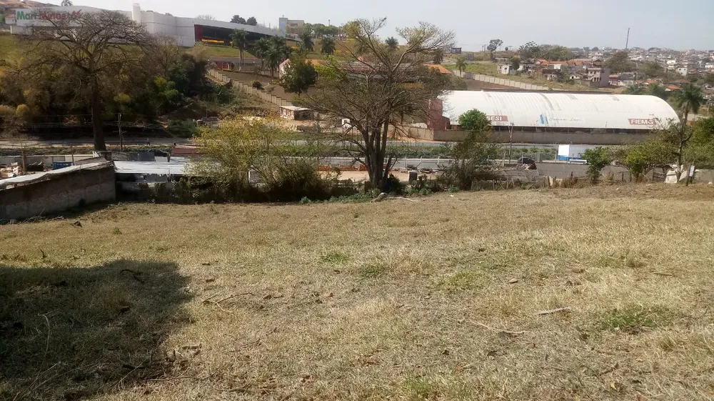 Terreno, 10800 m² - Foto 7