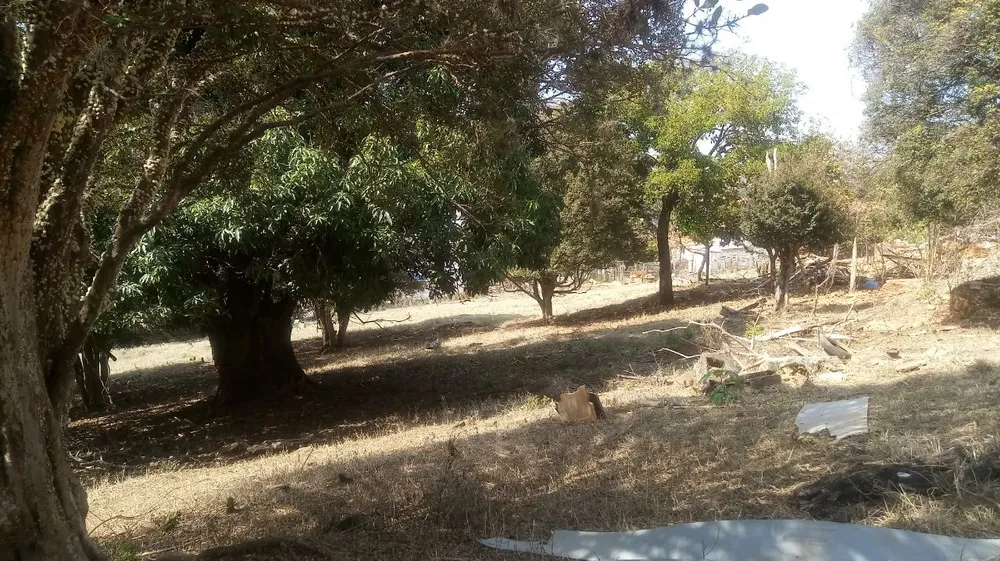 Terreno, 10800 m² - Foto 8
