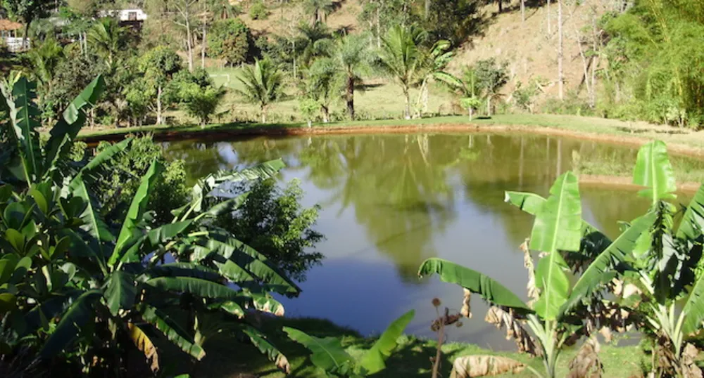 Chácara, 5 quartos, 5 hectares - Foto 6