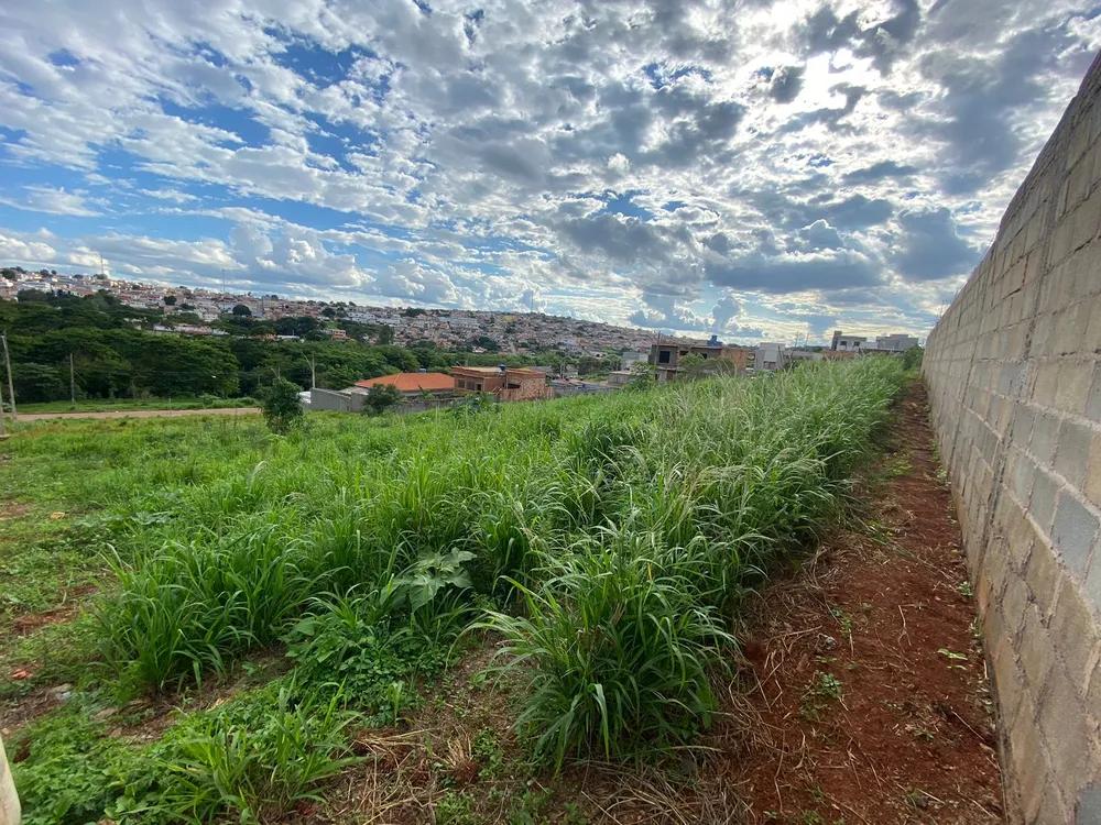 Terreno, 250 m² - Foto 3