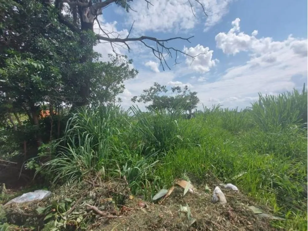 Terreno, 1000 m² - Foto 4