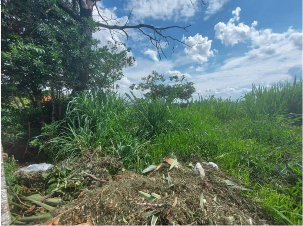 Terreno, 1000 m² - Foto 1