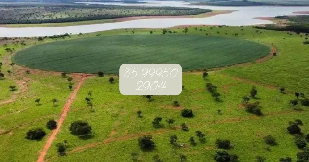 Fazenda, 831 hectares - Foto 10