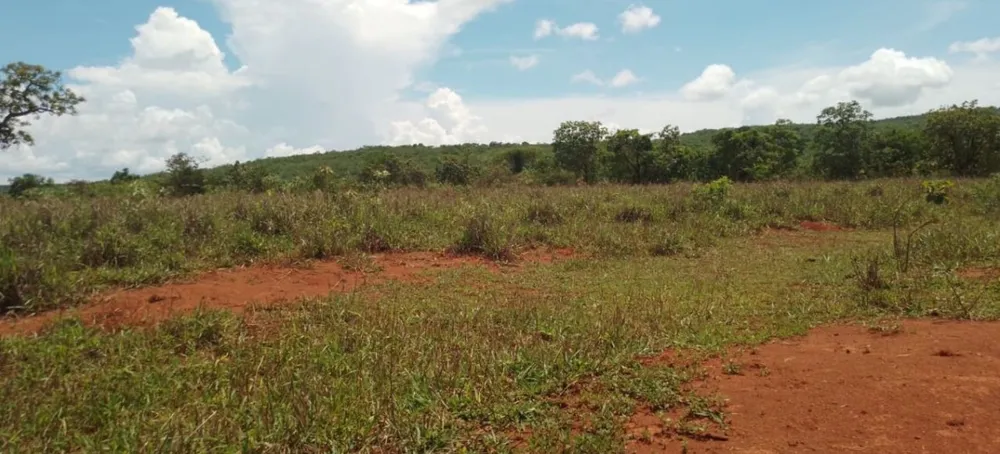 Fazenda, 831 hectares - Foto 12