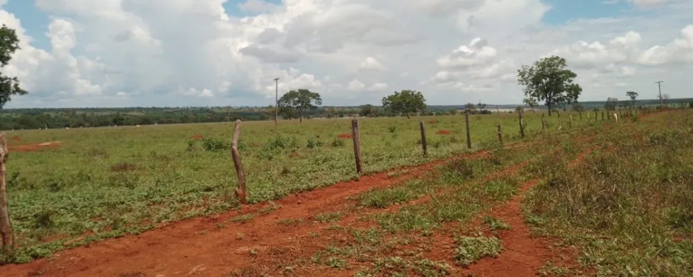 Fazenda, 831 hectares - Foto 6