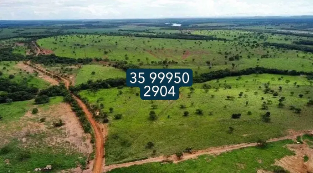 Fazenda, 831 hectares - Foto 5
