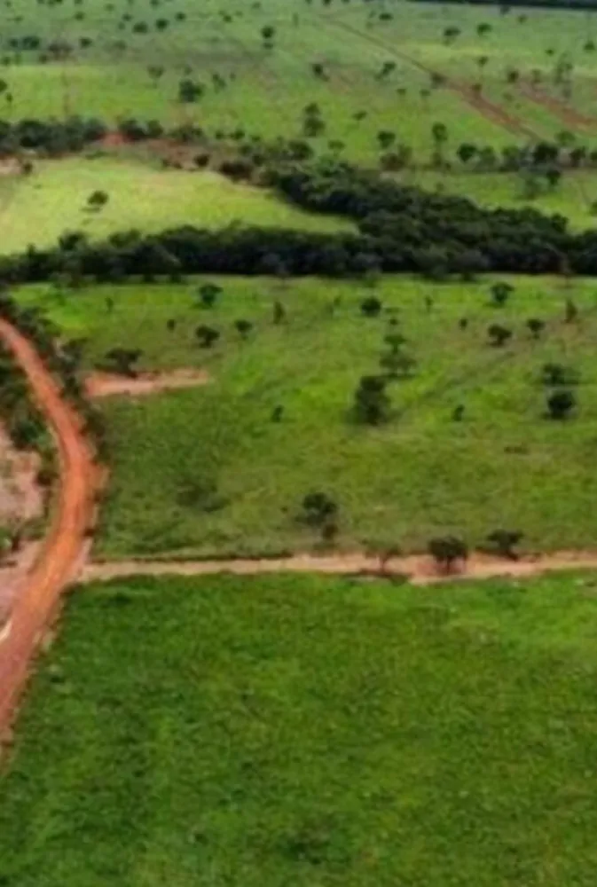 Fazenda, 831 hectares - Foto 22