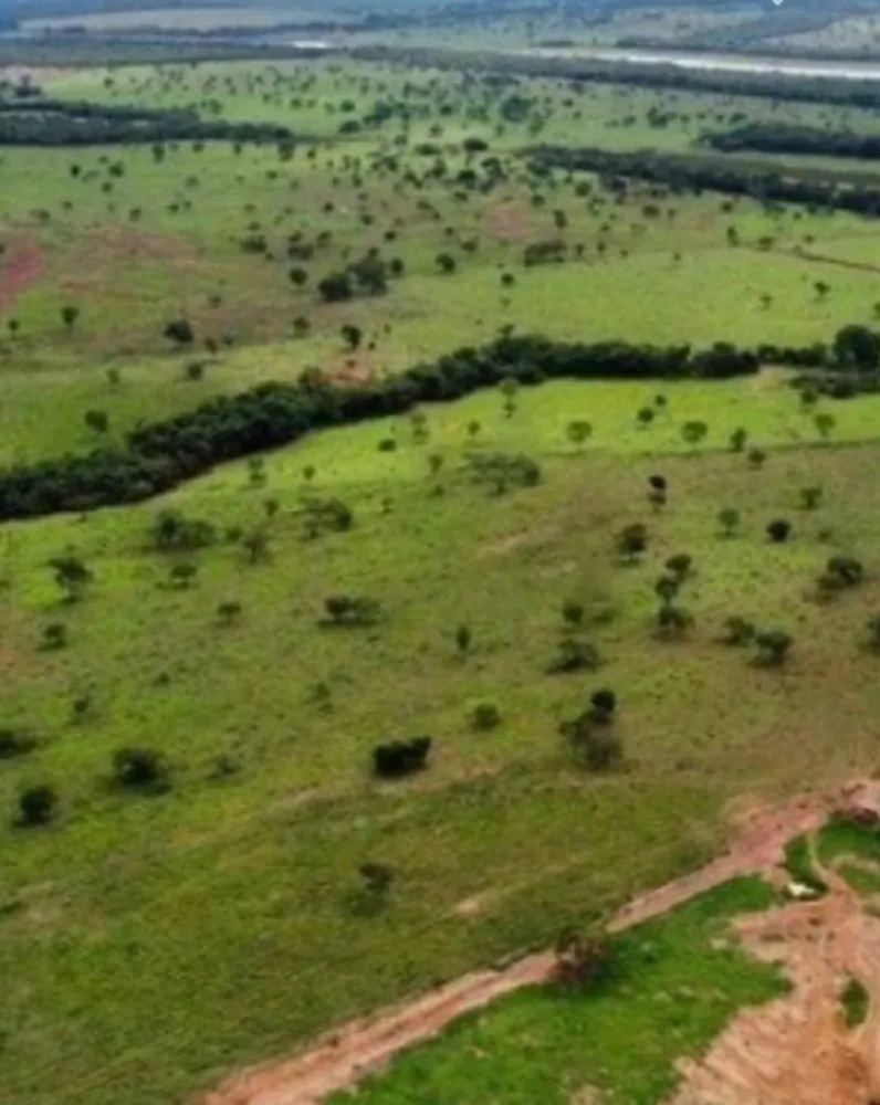 Fazenda, 831 hectares - Foto 20