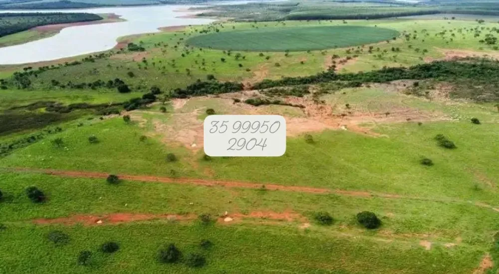 Fazenda, 831 hectares - Foto 7