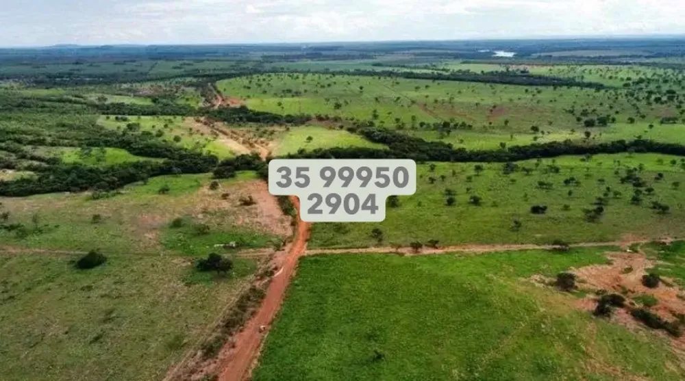 Fazenda, 831 hectares - Foto 19