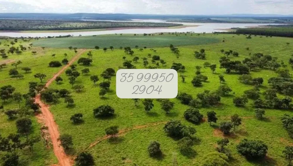 Fazenda, 831 hectares - Foto 7