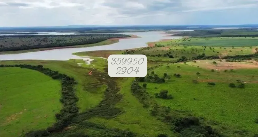 Fazenda, 831 hectares - Foto 13