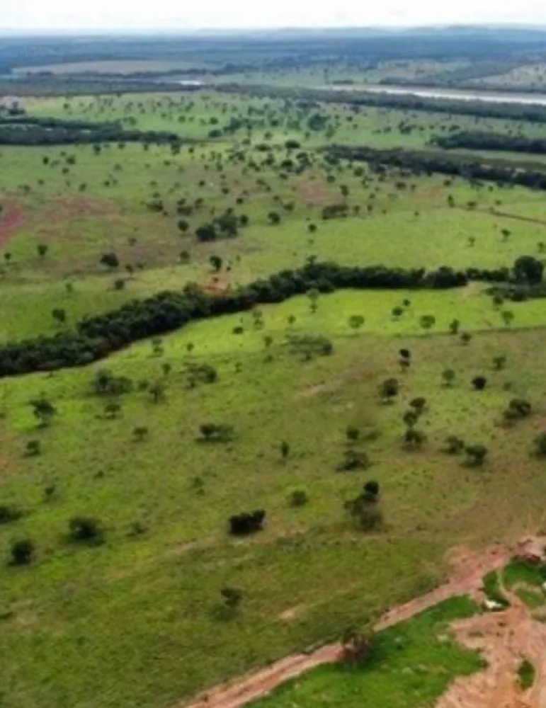 Fazenda, 831 hectares - Foto 6