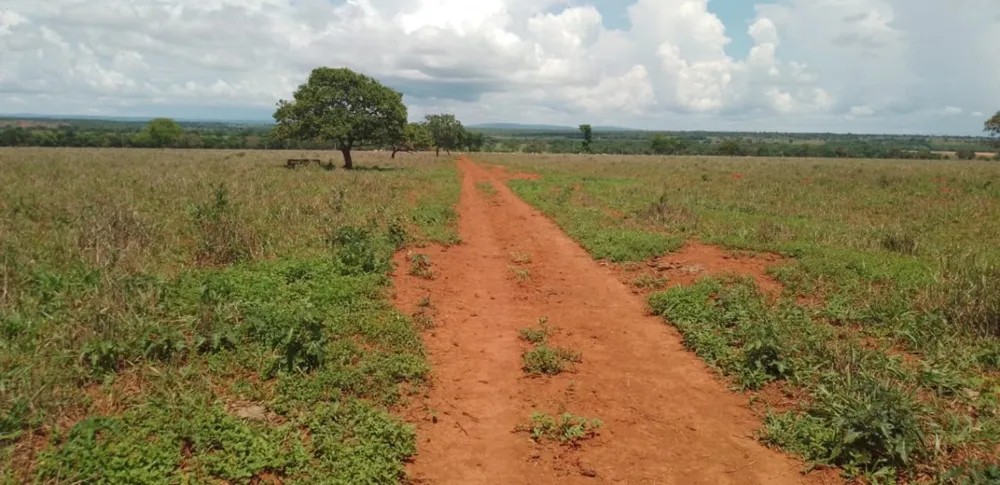 Fazenda, 831 hectares - Foto 10