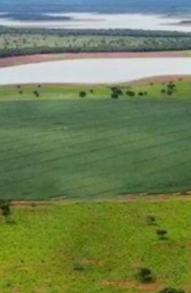 Fazenda, 831 hectares - Foto 11
