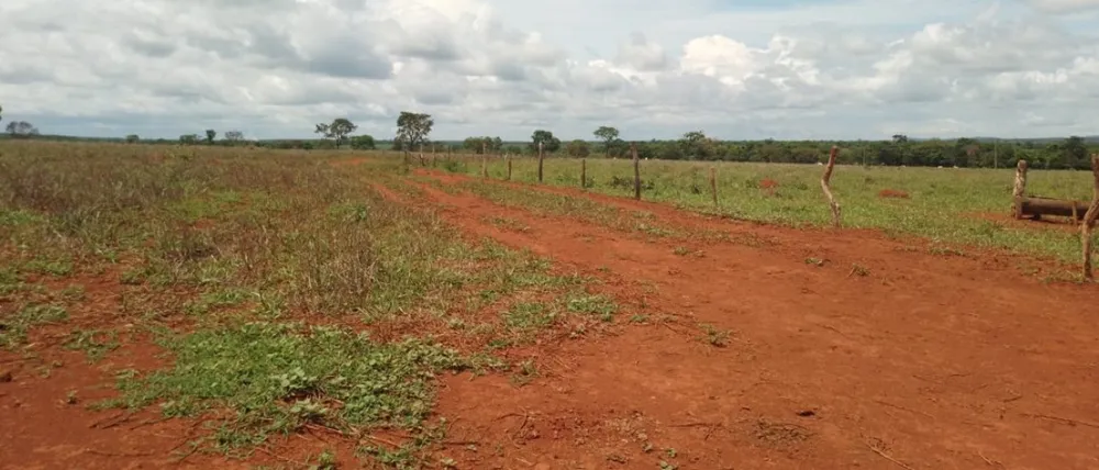 Fazenda, 831 hectares - Foto 3