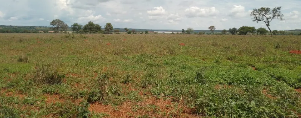 Fazenda, 831 hectares - Foto 1