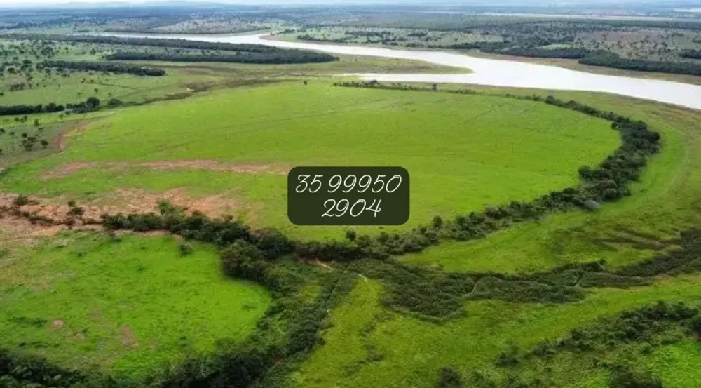 Fazenda, 831 hectares - Foto 4