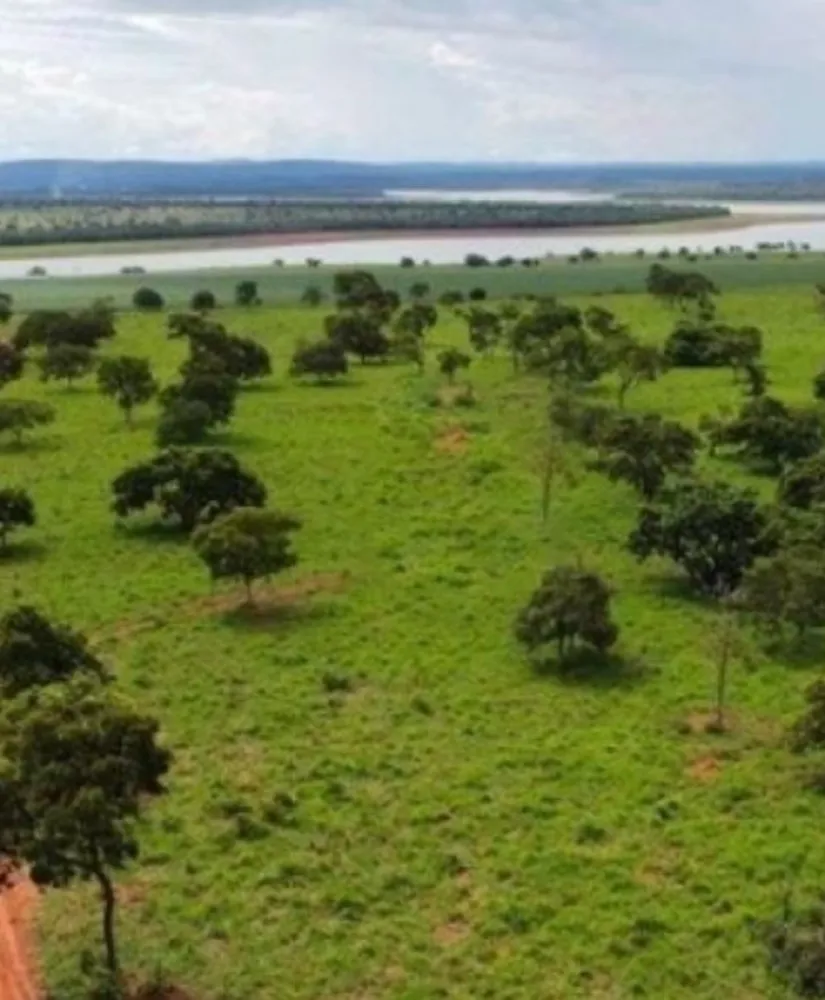 Fazenda, 831 hectares - Foto 23