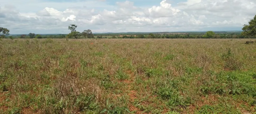 Fazenda, 831 hectares - Foto 12