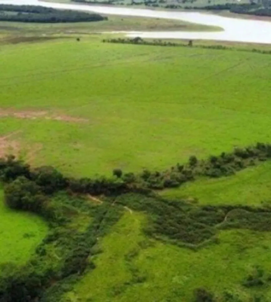 Fazenda, 831 hectares - Foto 8