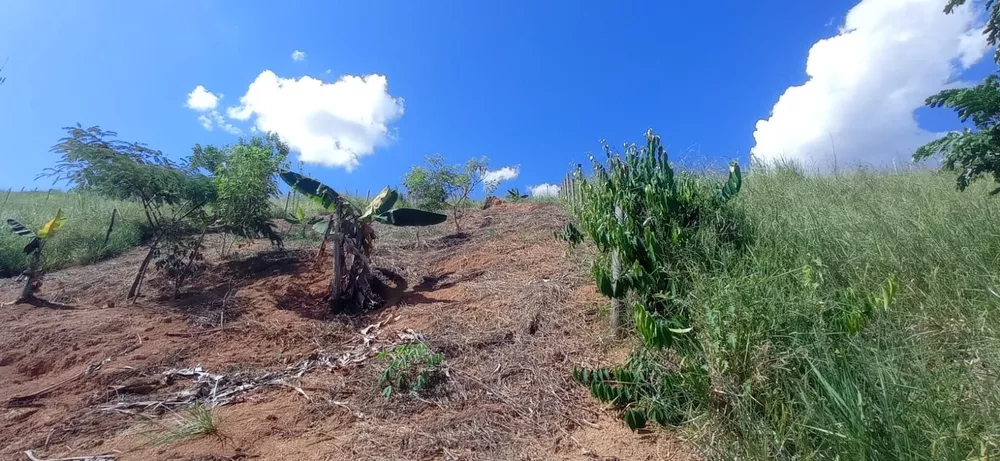 Terreno à venda - Foto 5