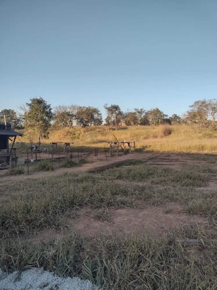 Terreno - Foto 4