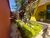 Casa, 3 quartos, 360 m² - Foto 3