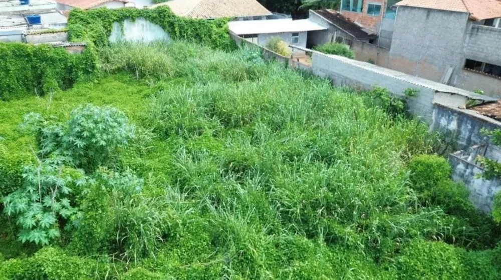 Terreno, 1790 m² - Foto 10