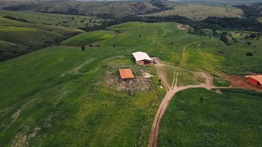Fazenda, 194 hectares - Foto 3