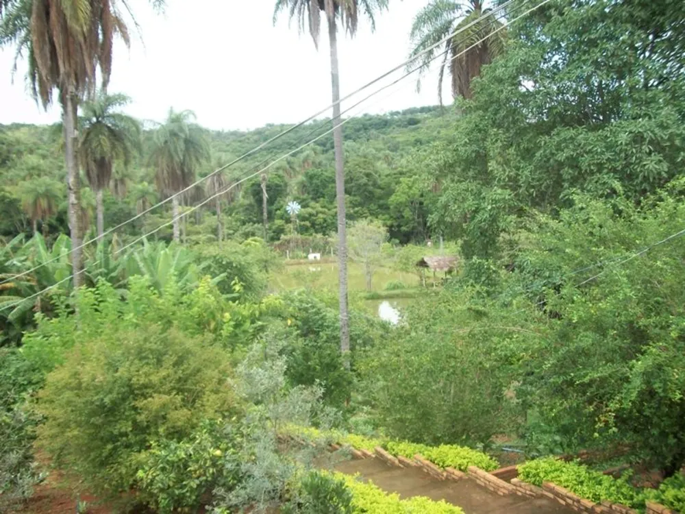 Chácara, 4 quartos, 5 hectares - Foto 11