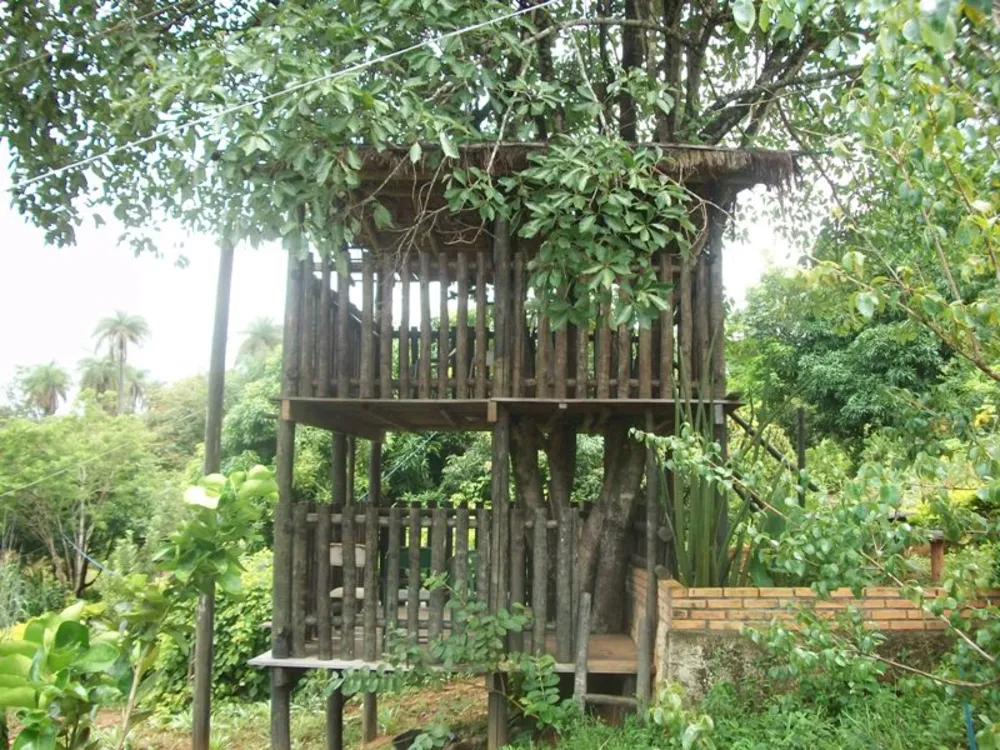 Chácara, 4 quartos, 5 hectares - Foto 2