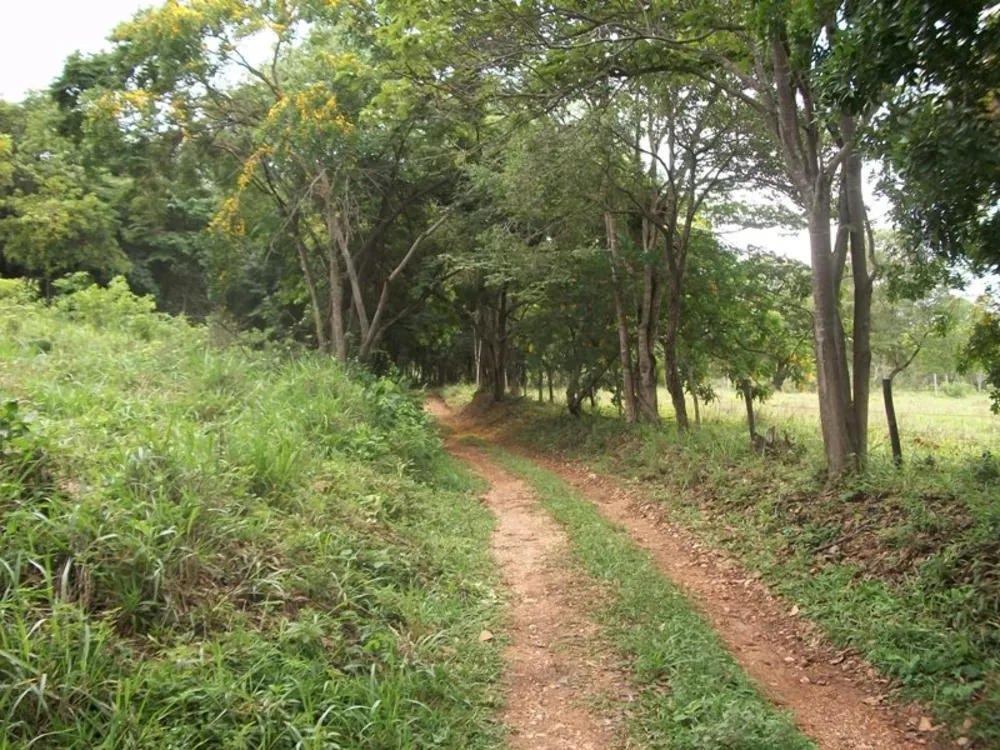 Sítio, 4 quartos, 5 hectares - Foto 18